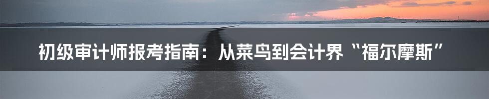 初级审计师报考指南：从菜鸟到会计界“福尔摩斯”