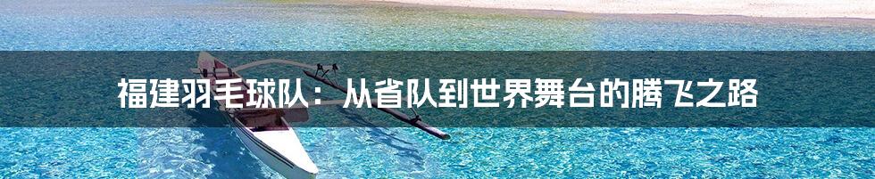 福建羽毛球队:从省队到世界舞台的腾飞之路