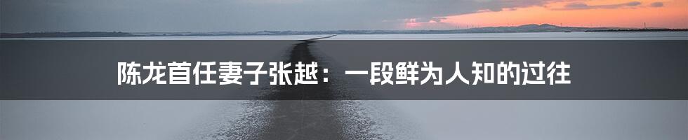 陈龙首任妻子张越：一段鲜为人知的过往