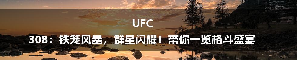 UFC 308:铁笼风暴,群星闪耀!带你一览格斗盛宴
