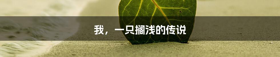 我，一只搁浅的传说
