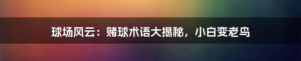 球场风云:赌球术语大揭秘,小白变老鸟