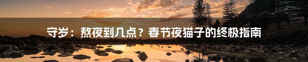守岁:熬夜到几点?春节夜猫子的终极指南