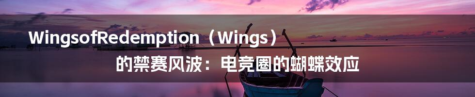 WingsofRedemption(Wings)的禁赛风波:电竞圈的蝴蝶效应