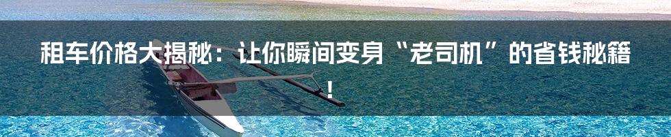 租车价格大揭秘:让你瞬间变身“老司机”的省钱秘籍!