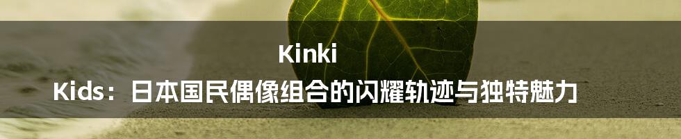Kinki Kids:日本国民偶像组合的闪耀轨迹与独特魅力
