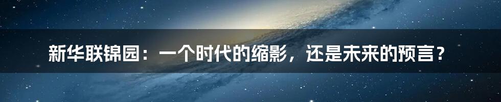 新华联锦园:一个时代的缩影,还是未来的预言?