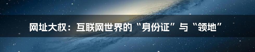 网址大权:互联网世界的“身份证”与“领地”