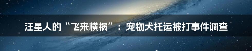 汪星人的“飞来横祸”:宠物犬托运被打事件调查