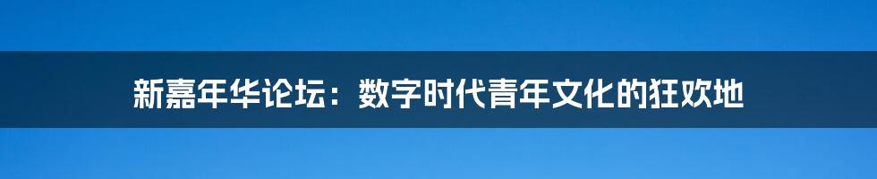 新嘉年华论坛:数字时代青年文化的狂欢地