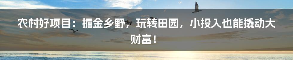 农村好项目:掘金乡野,玩转田园,小投入也能撬动大财富!