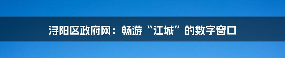 浔阳区政府网：畅游“江城”的数字窗口