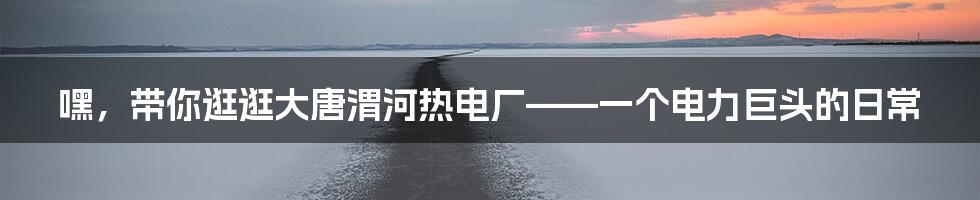 嘿,带你逛逛大唐渭河热电厂——一个电力巨头的日常