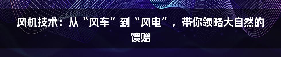 风机技术:从“风车”到“风电”,带你领略大自然的馈赠
