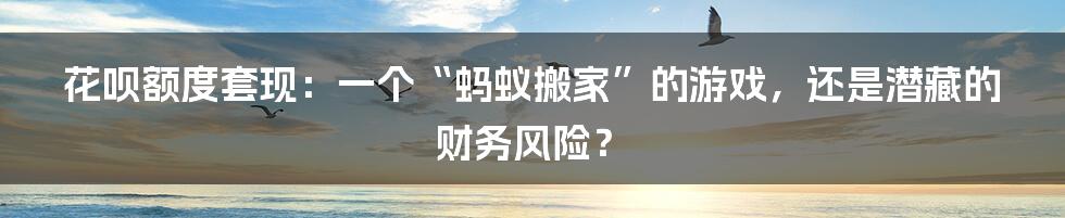 花呗额度套现:一个“蚂蚁搬家”的游戏,还是潜藏的财务风险?