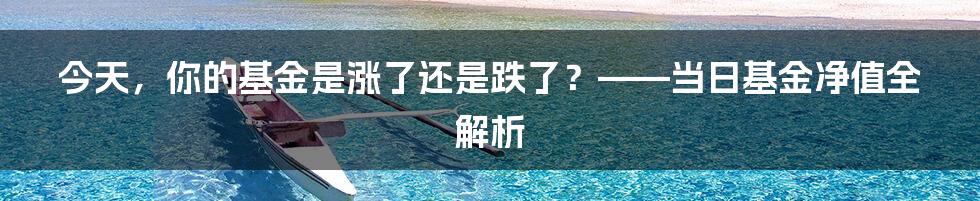 今天,你的基金是涨了还是跌了?——当日基金净值全解析