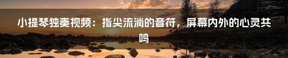 小提琴独奏视频:指尖流淌的音符,屏幕内外的心灵共鸣