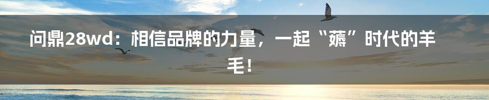 问鼎28wd:相信品牌的力量,一起“薅”时代的羊毛!