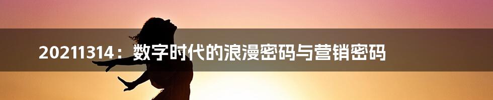20211314:数字时代的浪漫密码与营销密码
