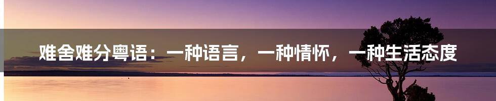 难舍难分粤语:一种语言,一种情怀,一种生活态度