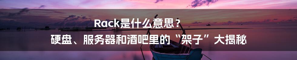 Rack是什么意思? 硬盘、服务器和酒吧里的“架子”大揭秘