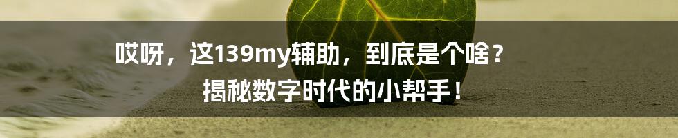 哎呀,这139my辅助,到底是个啥? 揭秘数字时代的小帮手!