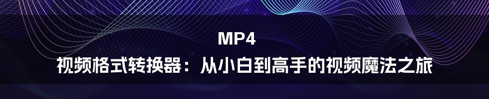 MP4 视频格式转换器:从小白到高手的视频魔法之旅