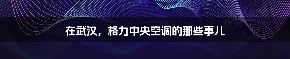 在武汉,格力中央空调的那些事儿