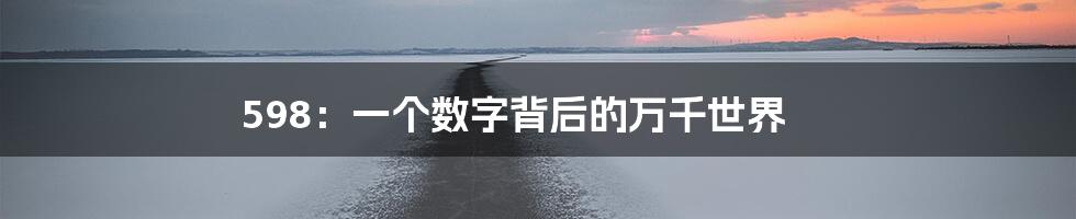 598：一个数字背后的万千世界
