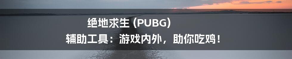 绝地求生 (PUBG) 辅助工具：游戏内外，助你吃鸡！