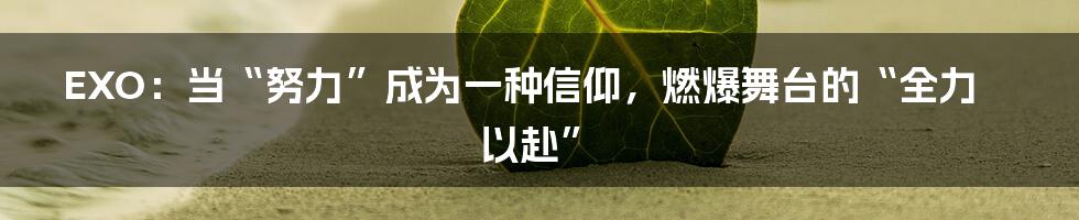 EXO：当“努力”成为一种信仰，燃爆舞台的“全力以赴”