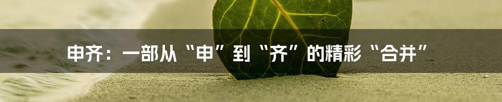 申齐：一部从“申”到“齐”的精彩“合并”