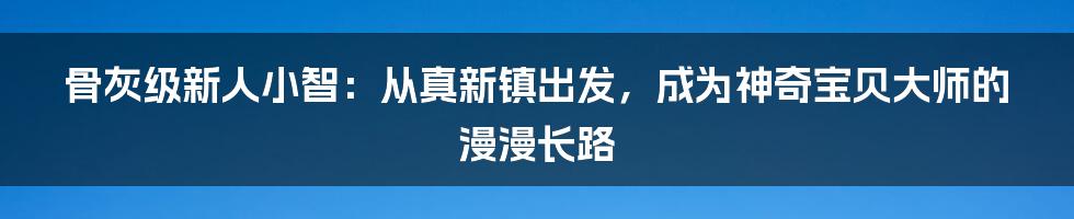 骨灰级新人小智：从真新镇出发，成为神奇宝贝大师的漫漫长路