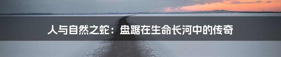 人与自然之蛇：盘踞在生命长河中的传奇