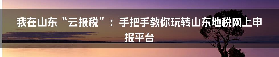 我在山东“云报税”:手把手教你玩转山东地税网上申报平台