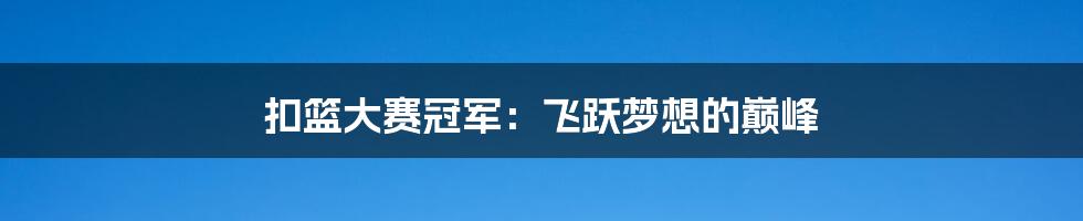 扣篮大赛冠军:飞跃梦想的巅峰