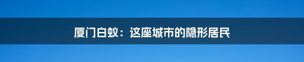厦门白蚁：这座城市的隐形居民