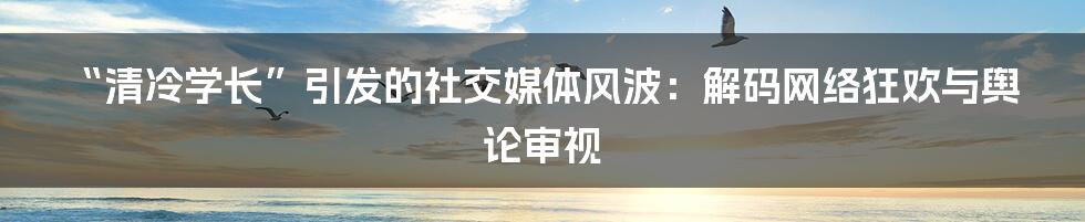 “清冷学长”引发的社交媒体风波:解码网络狂欢与舆论审视