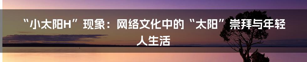 “小太阳H”现象:网络文化中的“太阳”崇拜与年轻人生活