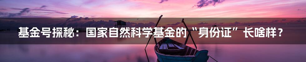 基金号探秘:国家自然科学基金的“身份证”长啥样?