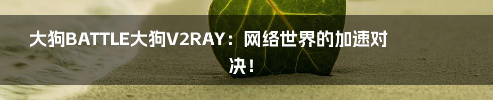 大狗BATTLE大狗V2RAY:网络世界的加速对决!