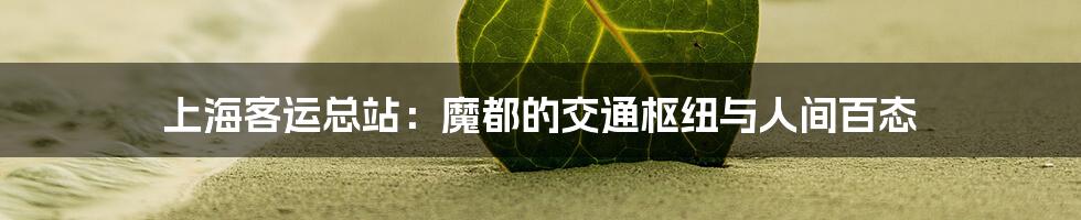上海客运总站:魔都的交通枢纽与人间百态