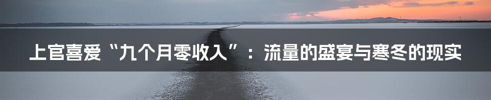 上官喜爱“九个月零收入”:流量的盛宴与寒冬的现实