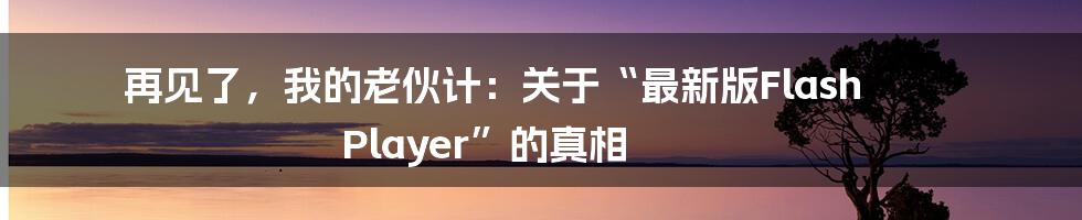 再见了,我的老伙计:关于“最新版Flash Player”的真相