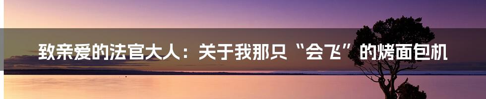 致亲爱的法官大人：关于我那只“会飞”的烤面包机
