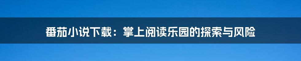 番茄小说下载:掌上阅读乐园的探索与风险