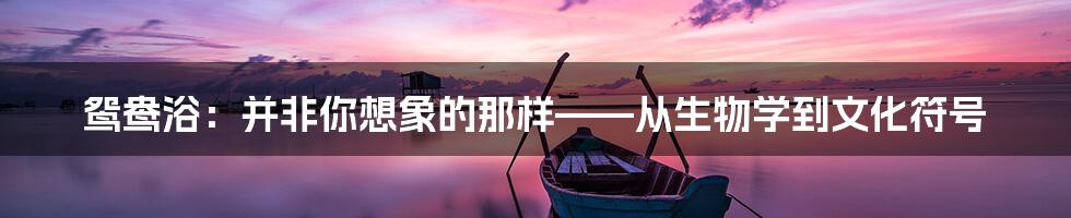 鸳鸯浴：并非你想象的那样——从生物学到文化符号