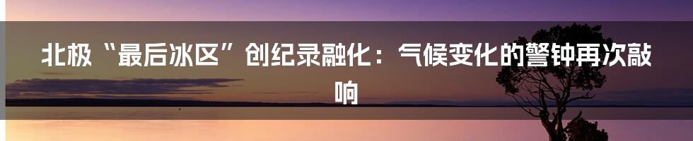 北极“最后冰区”创纪录融化：气候变化的警钟再次敲响