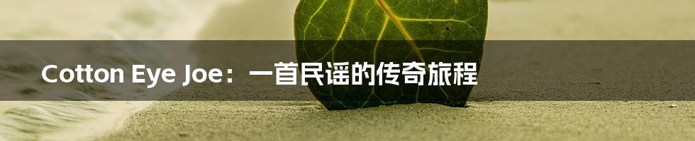 Cotton Eye Joe:一首民谣的传奇旅程