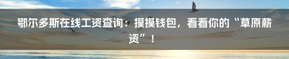 鄂尔多斯在线工资查询:摸摸钱包,看看你的“草原薪资”!